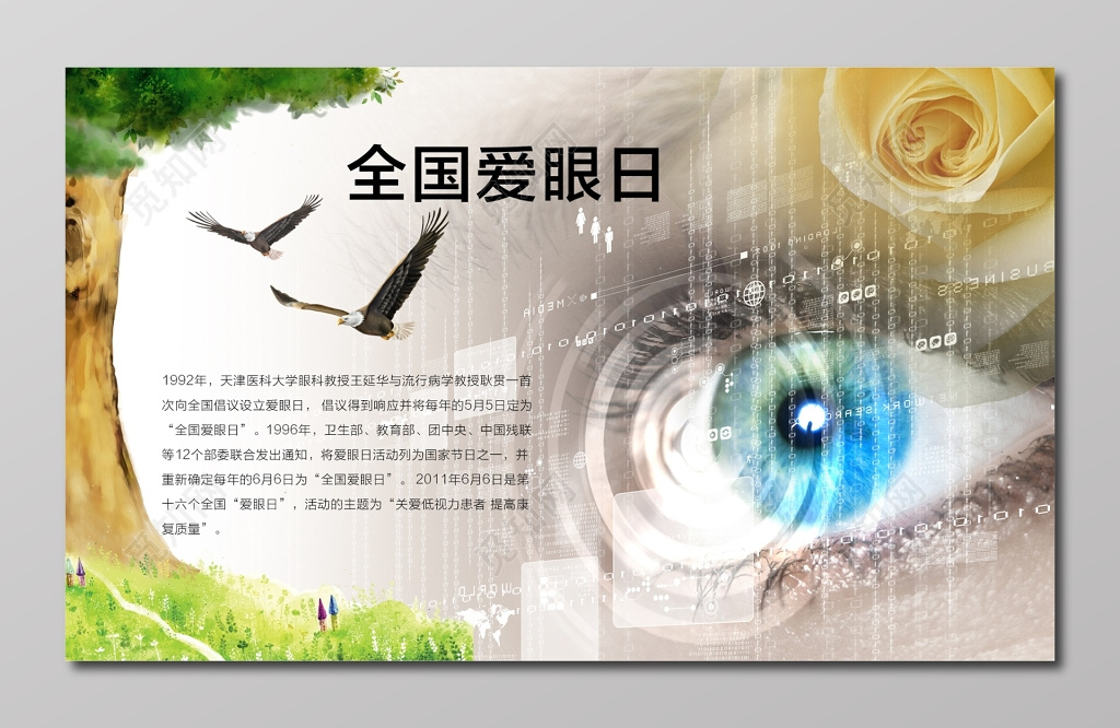 关爱实力患者全国爱眼日展板