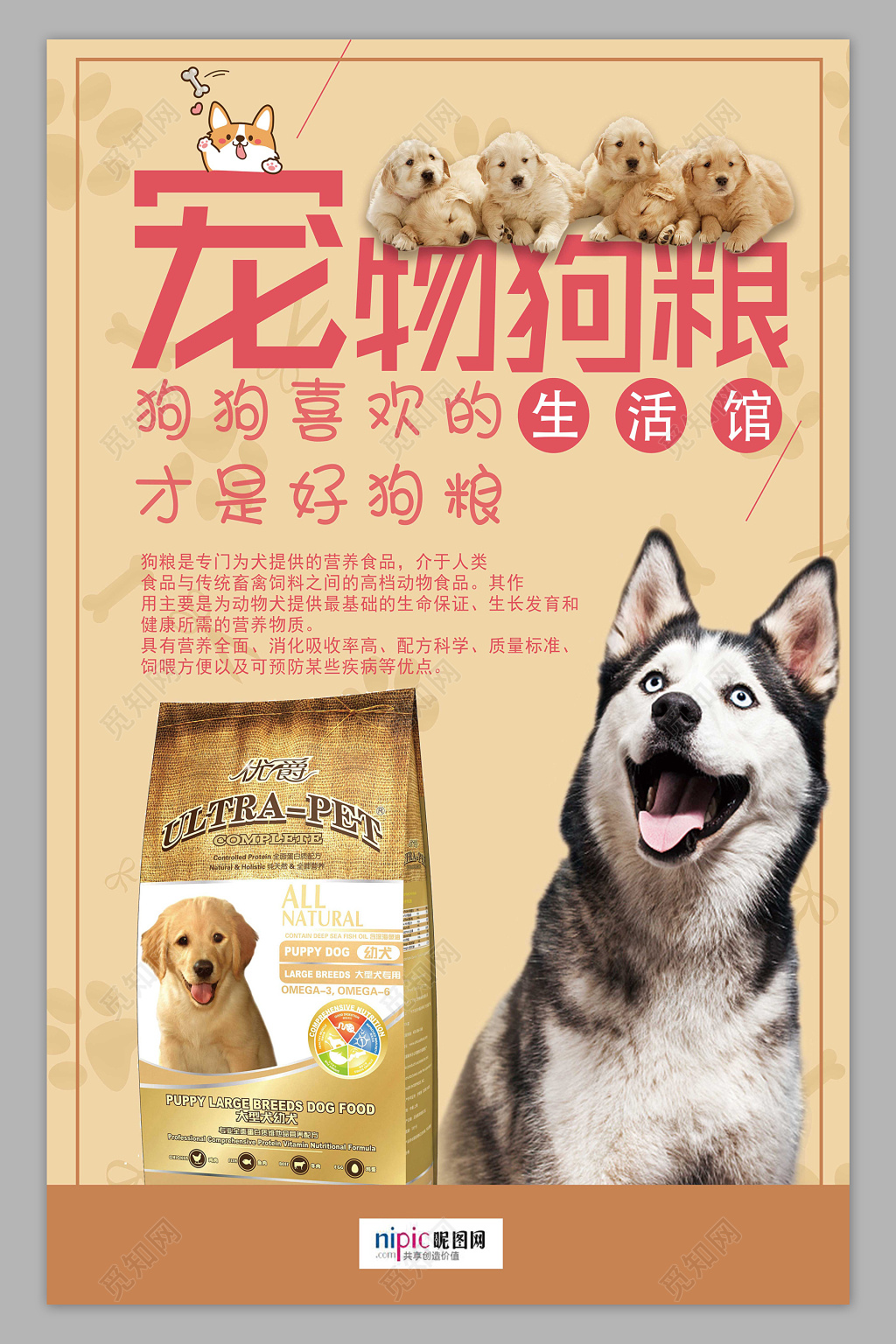可爱哈士奇宠物店狗粮宣传海报