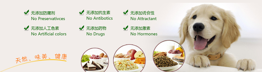 简约宠物店狗粮宣传海报设计