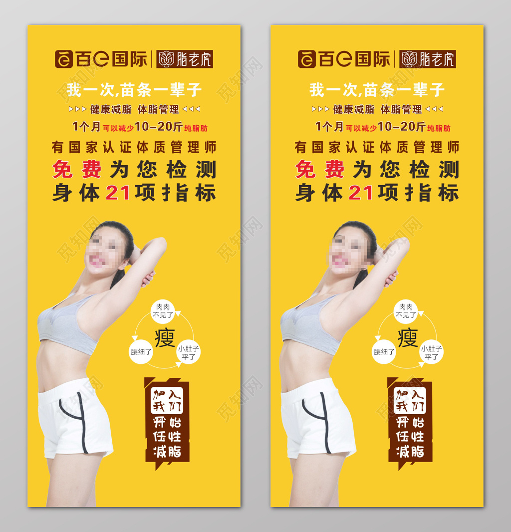 黄底健康减脂体质管理宣传展架