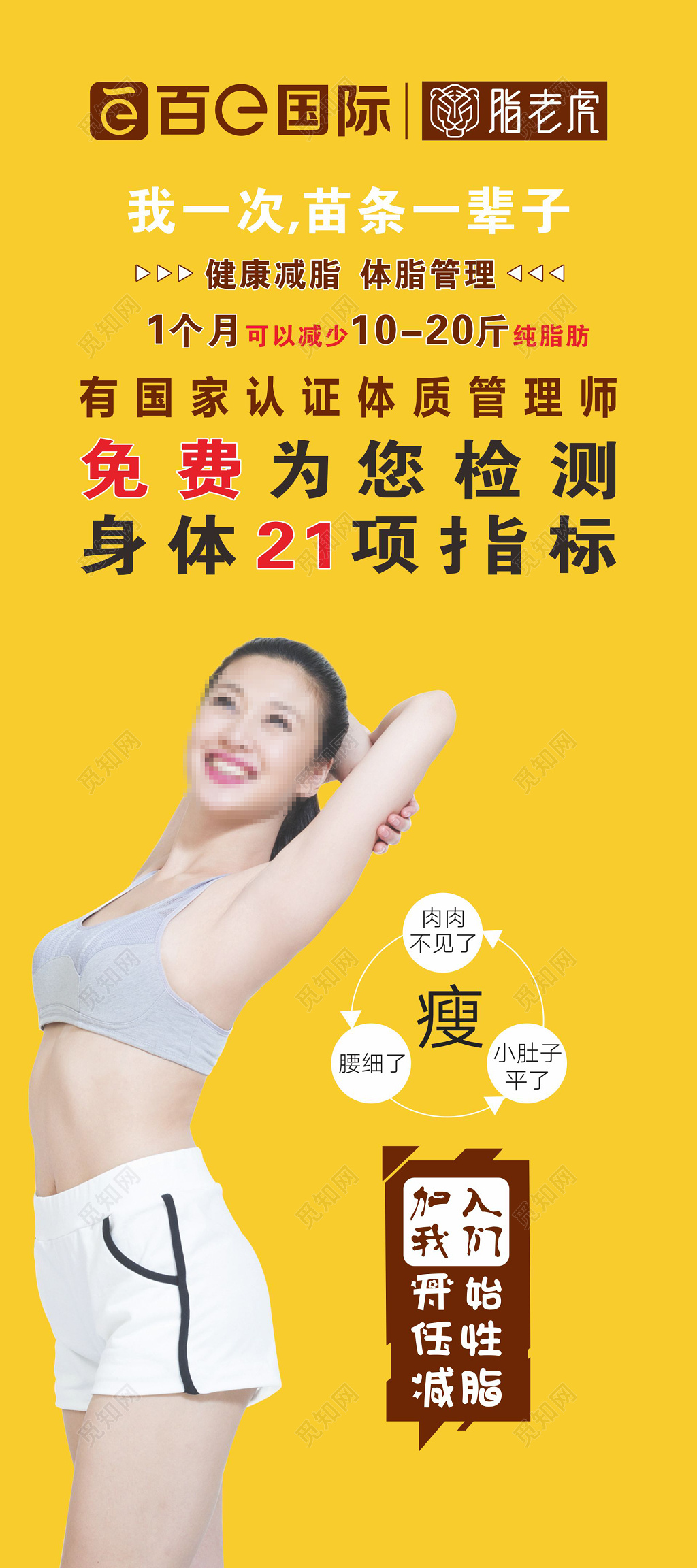 黄底健康减脂体质管理宣传展架