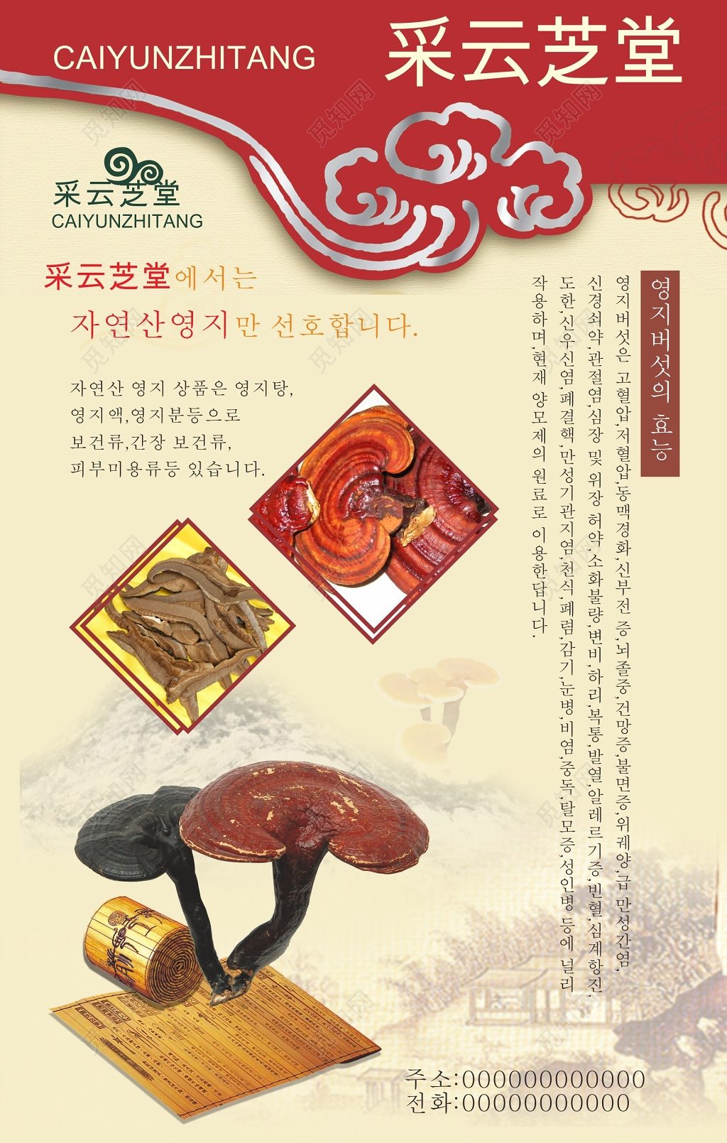 灵芝韩国进口药材保健品海报 