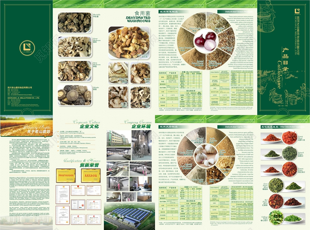 产品折页模板食用菌介绍折页