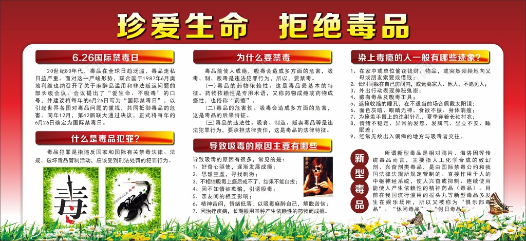 国际禁毒日宣传栏珍爱生命拒绝毒品