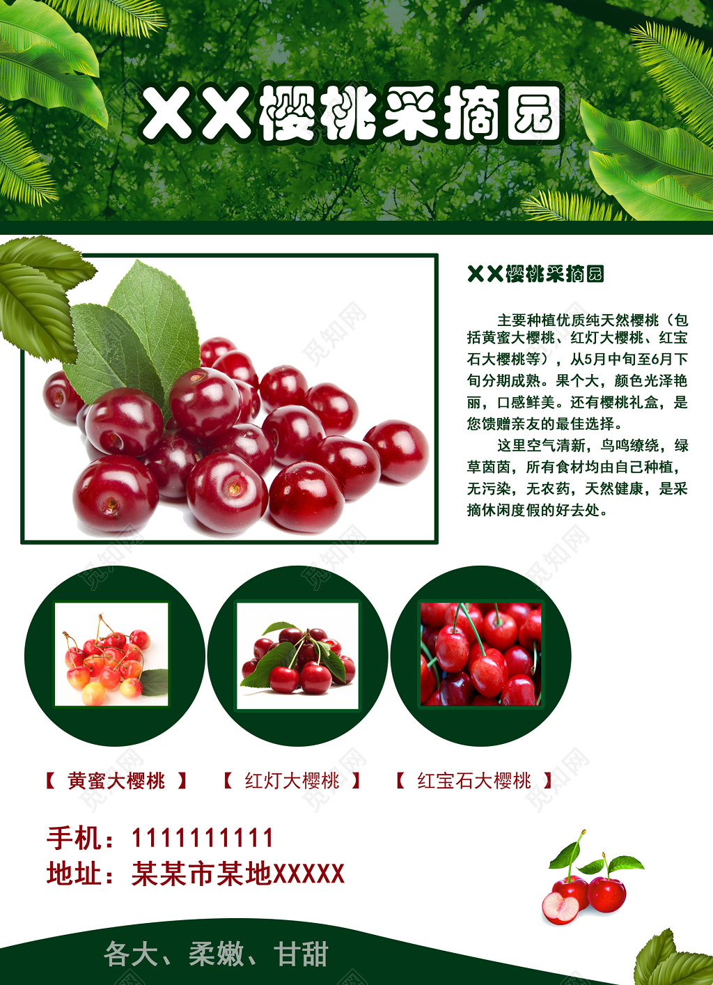 水果樱桃采摘园淡粉色宣传单