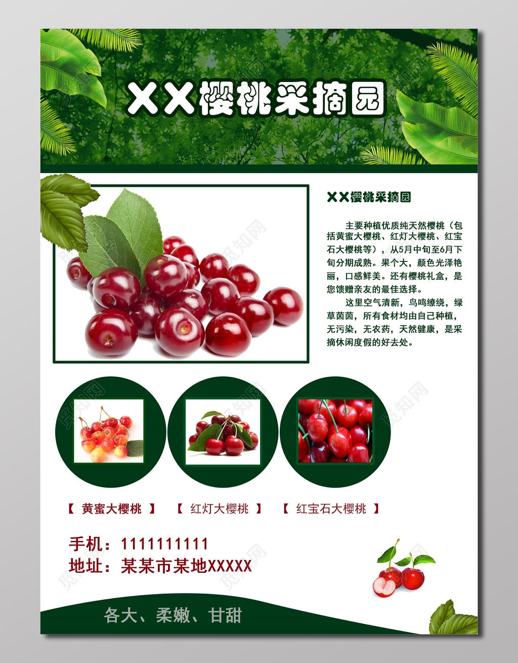 水果樱桃采摘园淡粉色宣传单