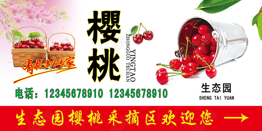 樱桃生态采摘园素雅白展板设计