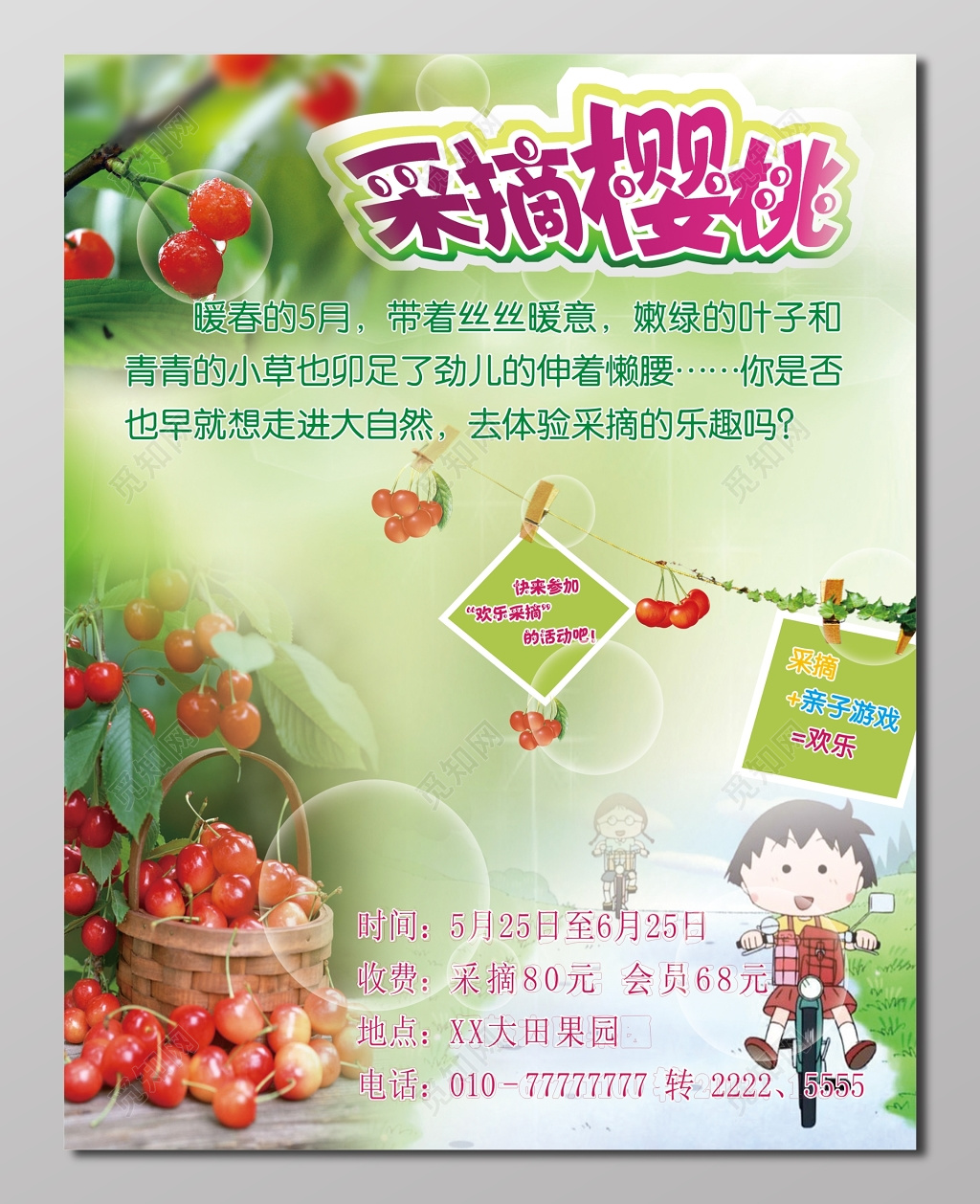 樱桃采摘浅绿色宣传单设计