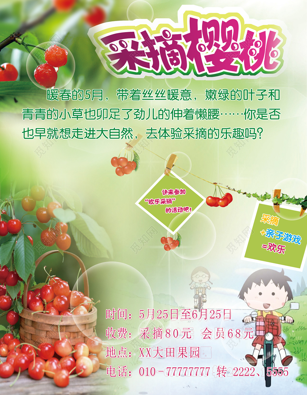 樱桃采摘浅绿色宣传单设计