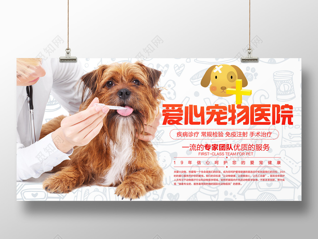宠物医院动物门诊宠物店卡通宣传海报设计