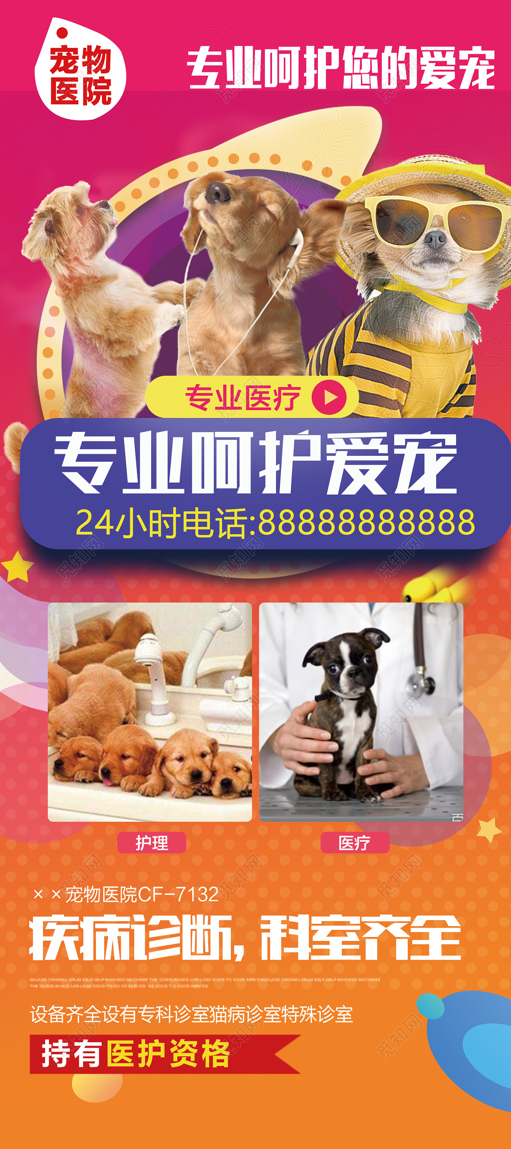 宠物医院专业动物门诊兽医宣传展板设计