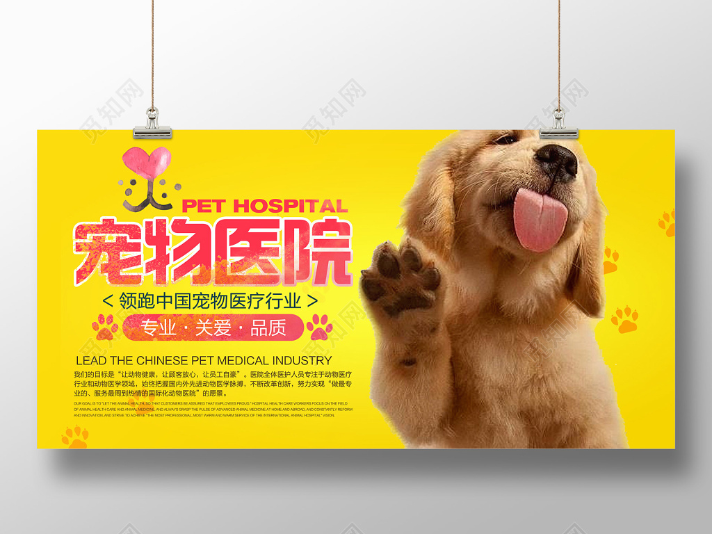 宠物医院宠物店美容医疗黄色海报设计