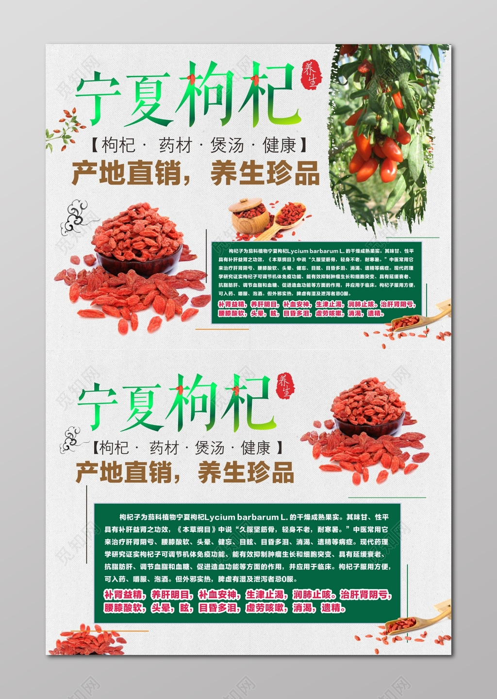 枸杞海报枸杞直销养生海报