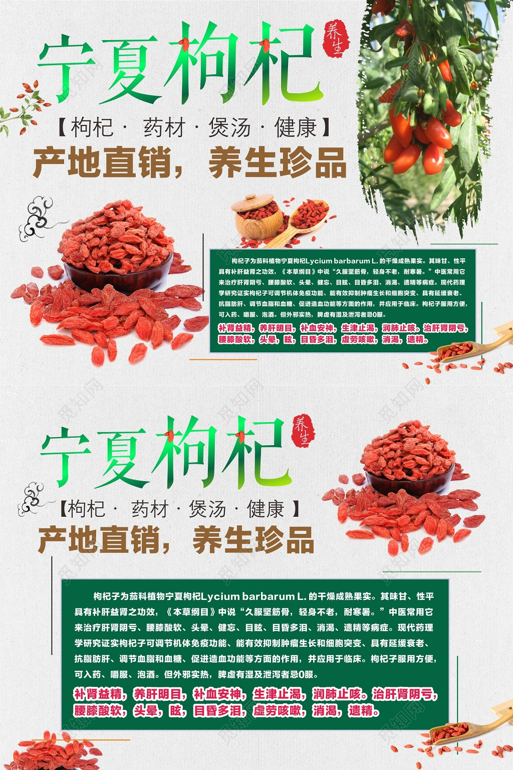 枸杞海报枸杞直销养生海报