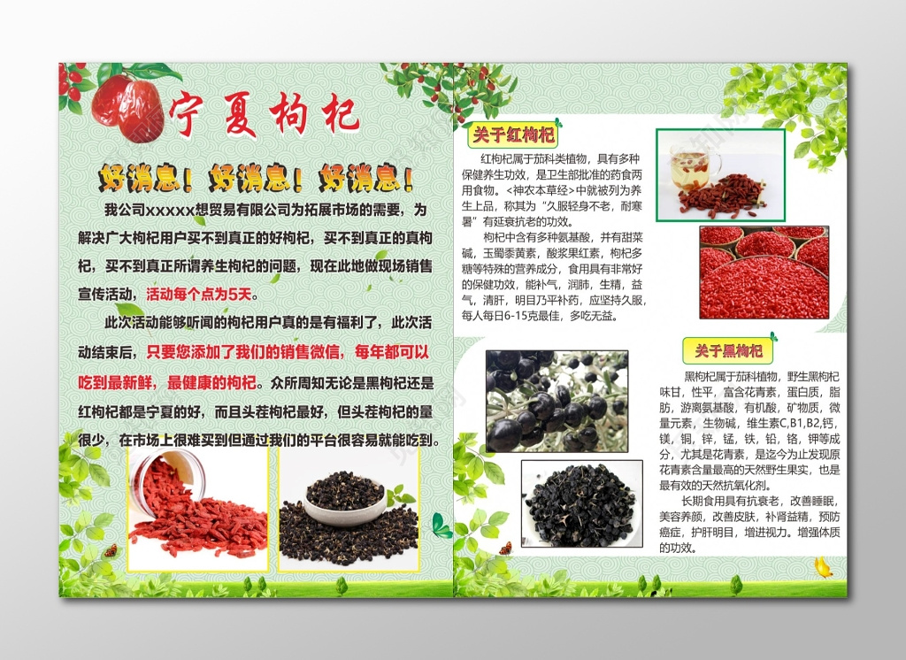 枸杞海报宁夏枸杞传单