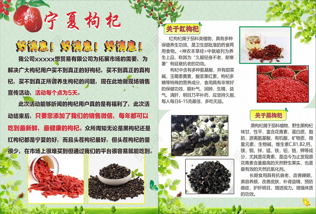 枸杞海报宁夏枸杞传单