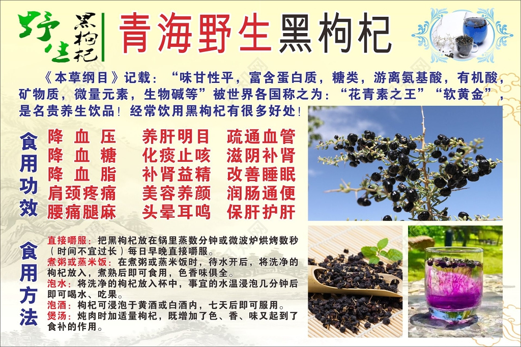 枸杞海报青海野生黑枸杞