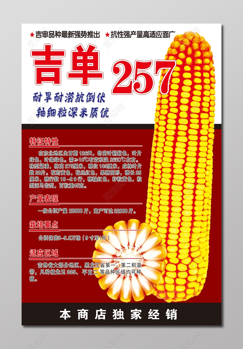 吉单玉米种业粮食农产品海报
