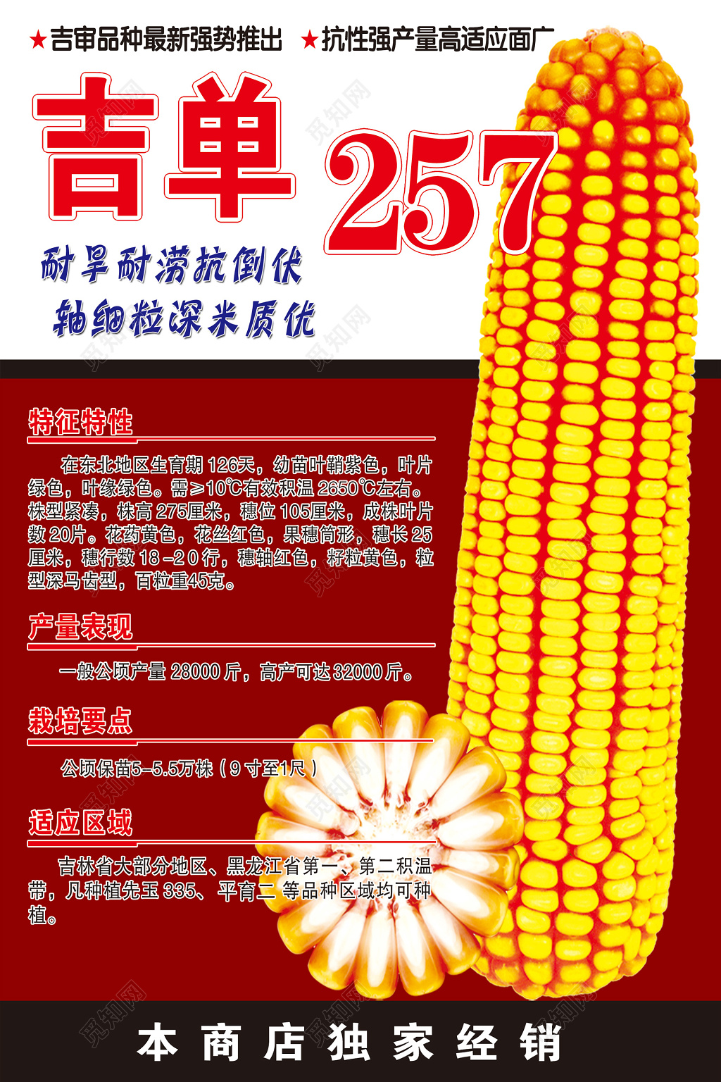 吉单玉米种业粮食农产品海报