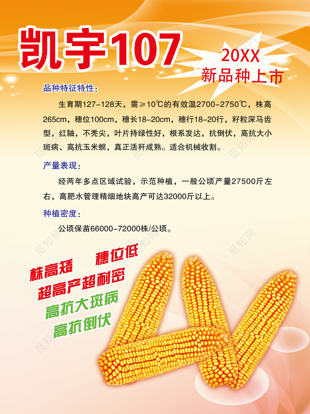 凯宇107玉米粮食种业农产品新品种上市海报