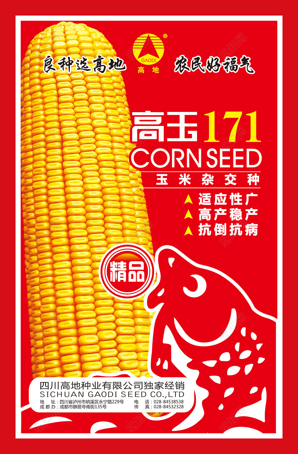 高玉171玉米杂交种粮食精品农产品海报
