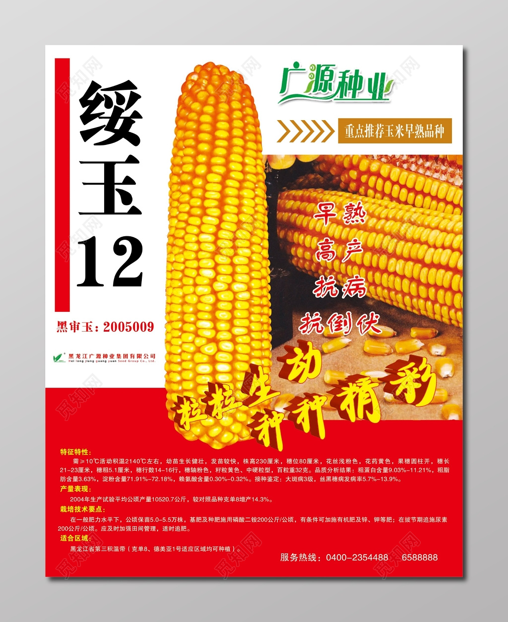 绥玉12玉米种业粮食种植农产品海报