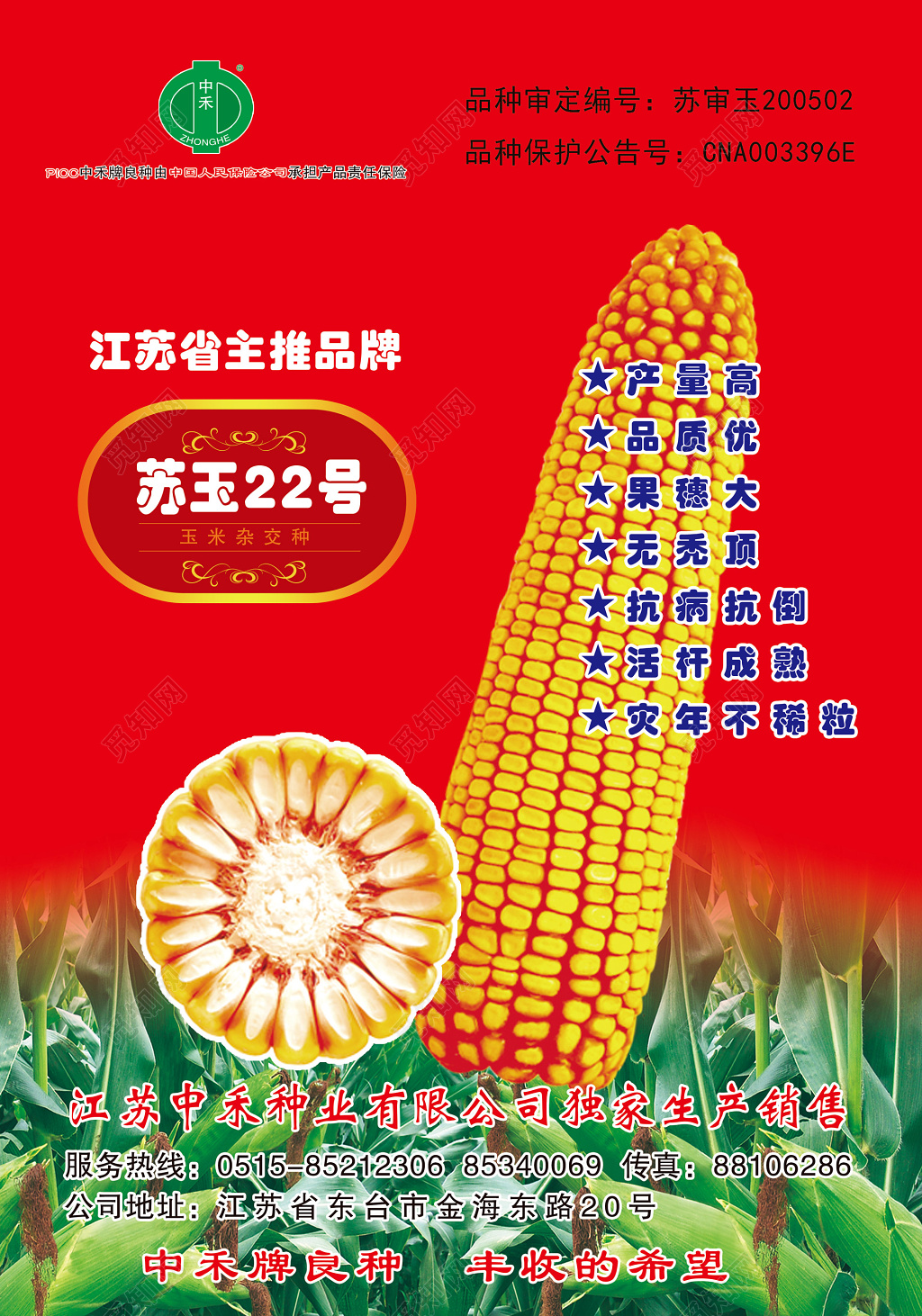 苏玉22玉米粮食种业农产品海报