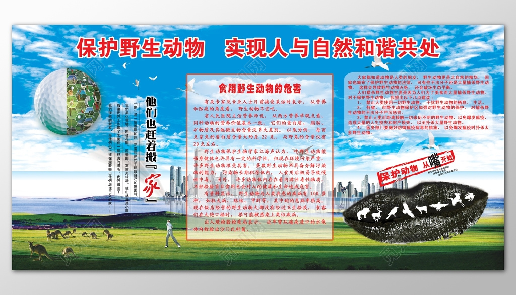 保护野生动物食用野生动物的危害展板模板