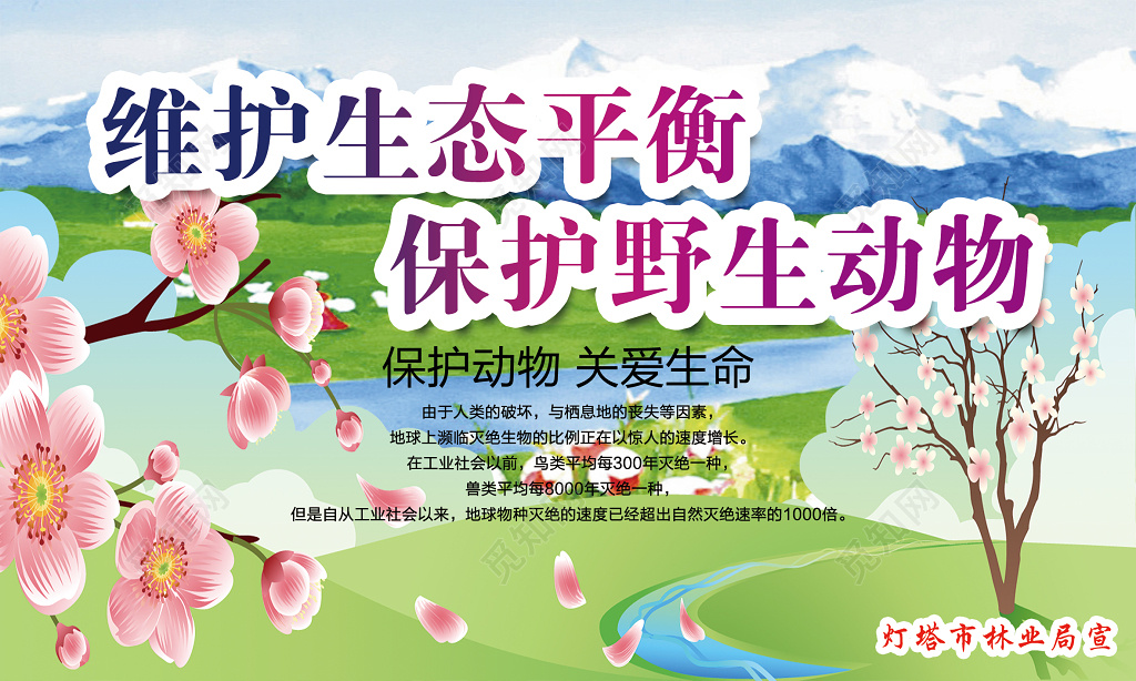 维护生态平衡保护野生动物关爱生命主题展板模板