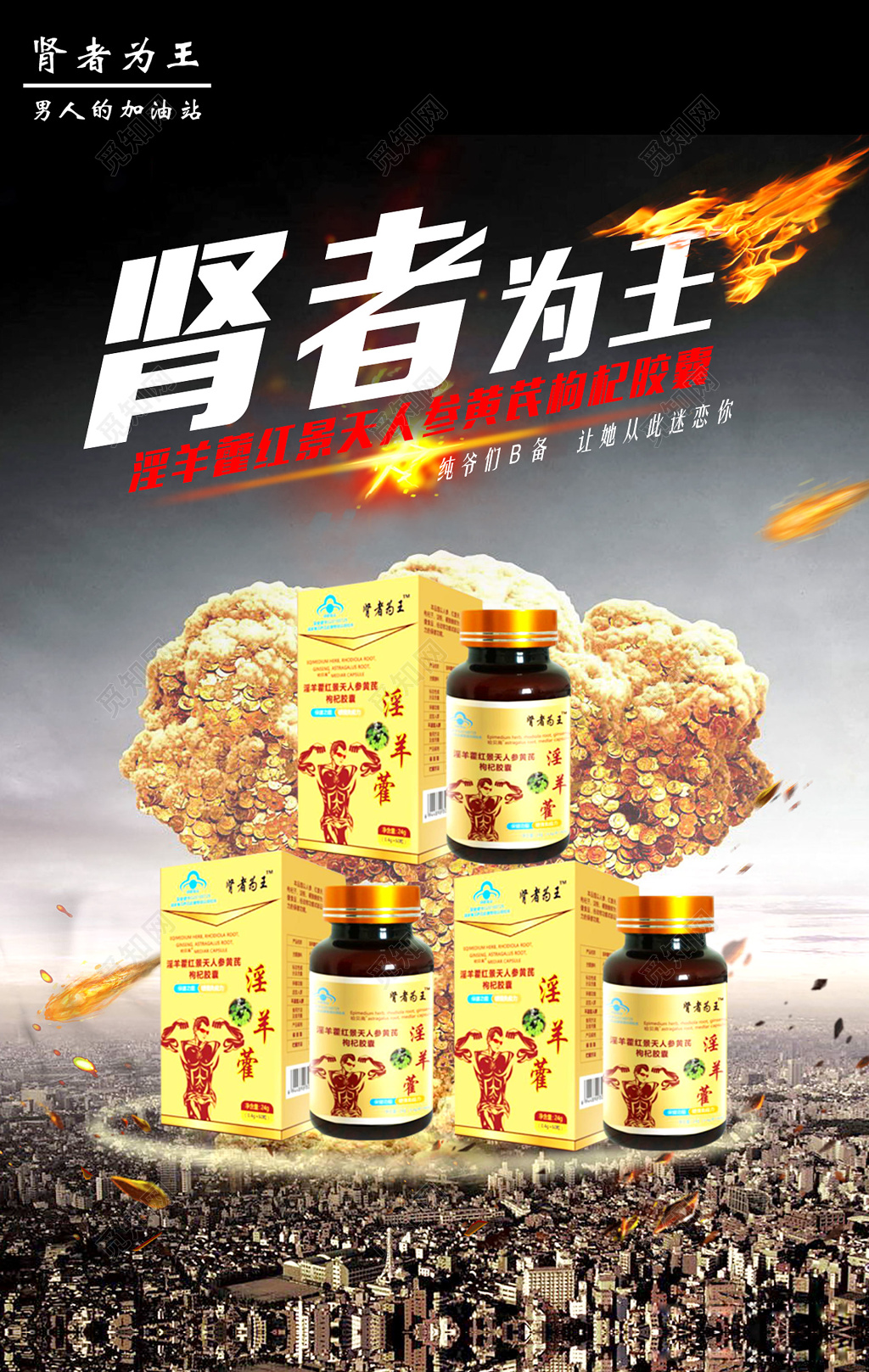 滋补养生淫羊藿肾者为王宣传保健品海报