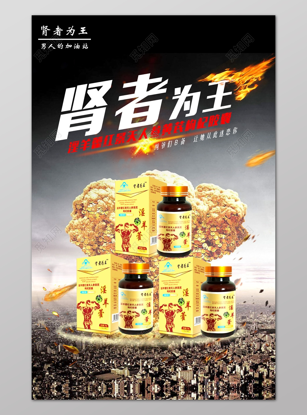 滋补养生淫羊藿肾者为王宣传保健品海报