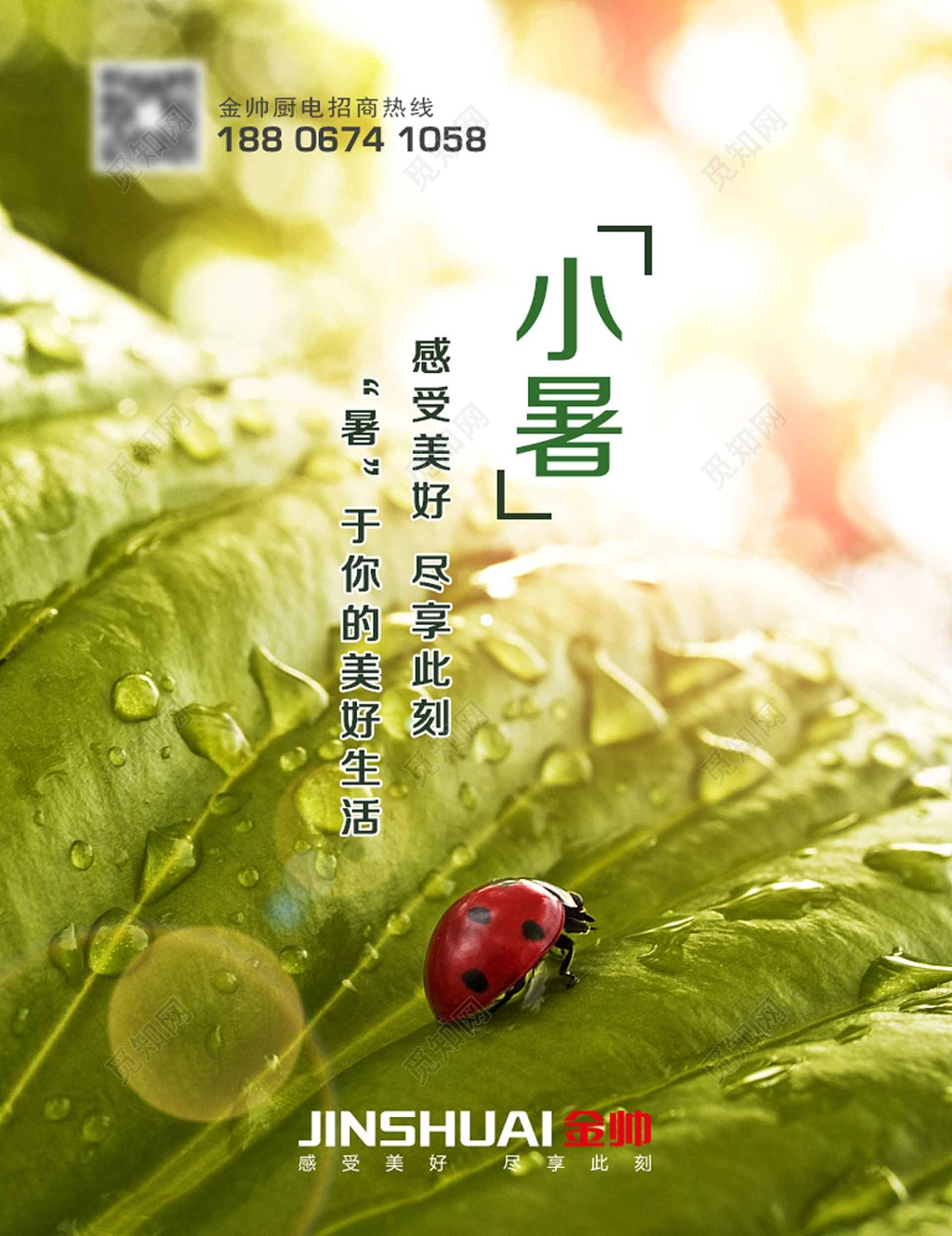 清新小暑二十四节气海报