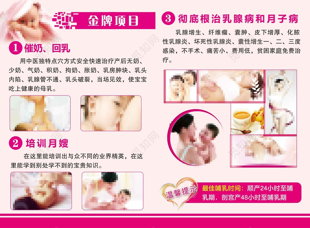 专业培训金牌项目产后恢复母婴海报