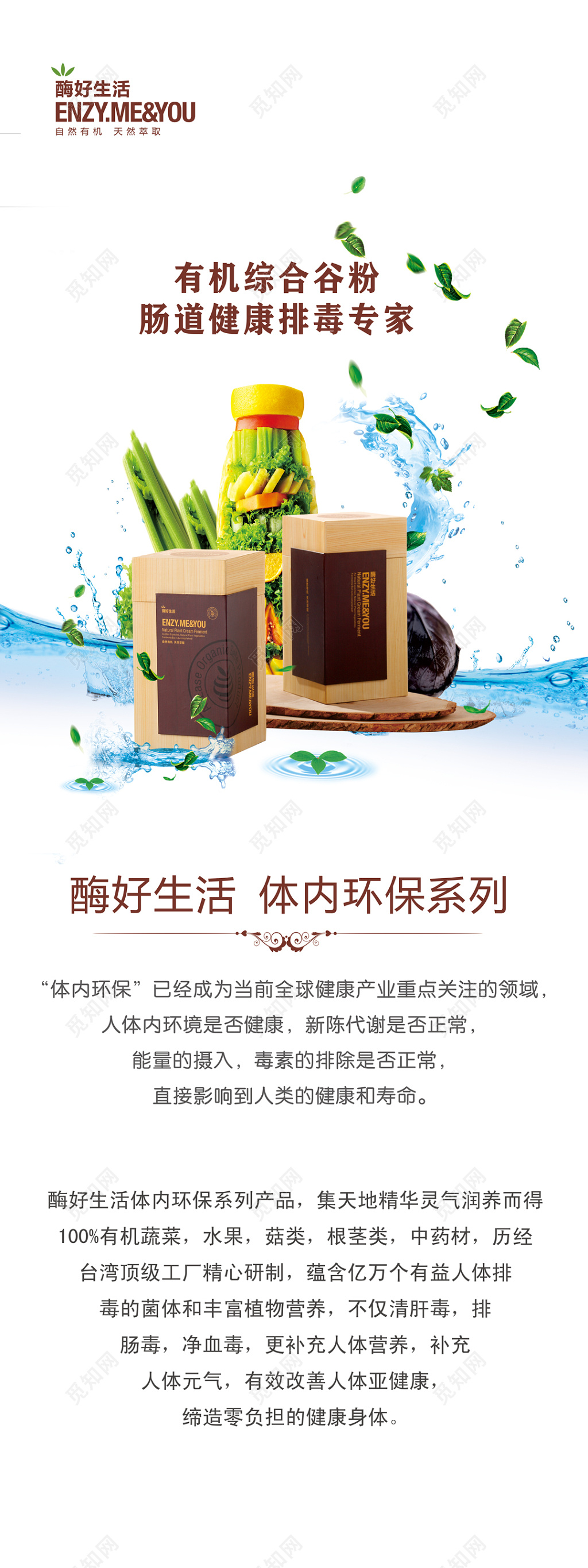 保健品肠道排毒专家素雅白海报设计