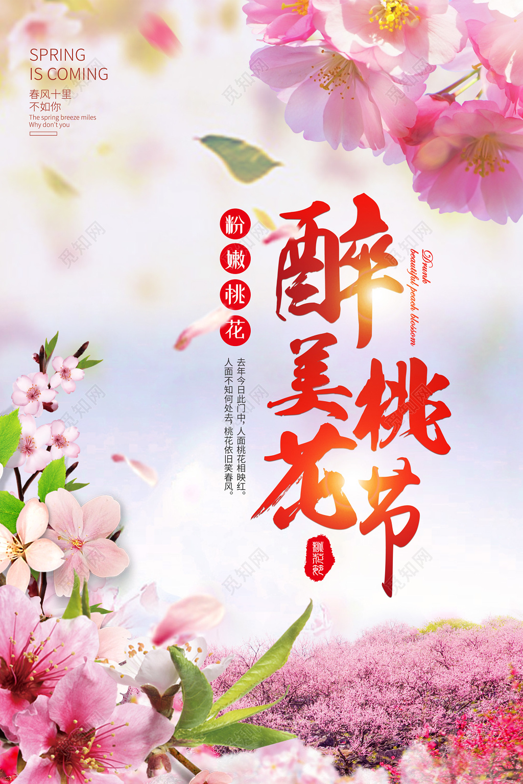 2019年时尚简洁醉美桃花节旅游宣传海报