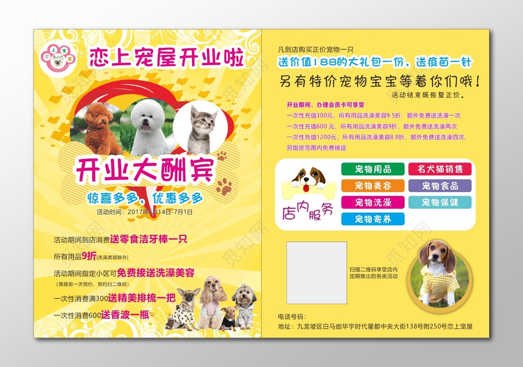 宠物宣传单宠物店开业宣传单