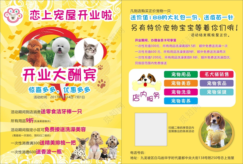 宠物宣传单宠物店开业宣传单