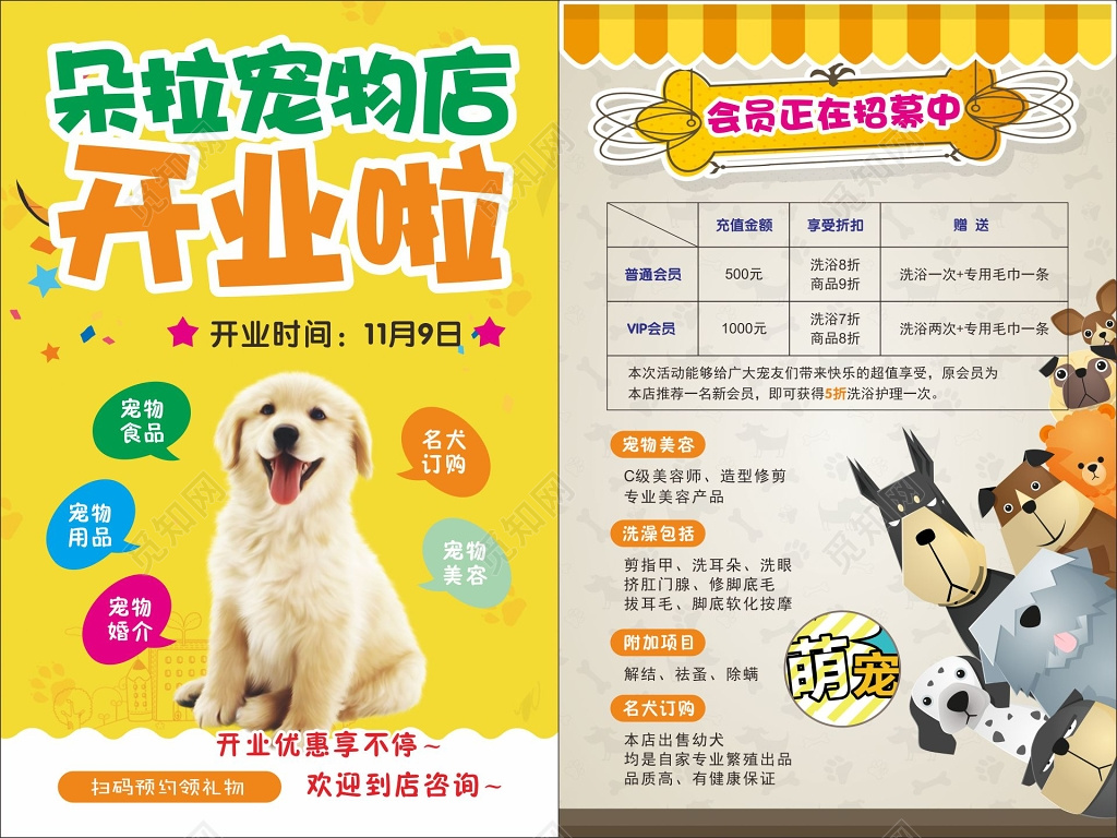宠物店开业招募会员宣传单