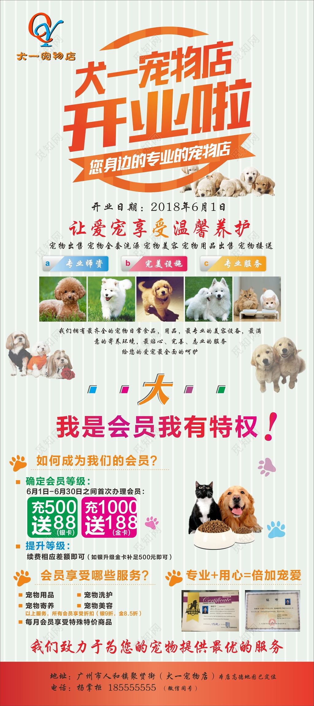 宠物店展架宠物店开业活动海报