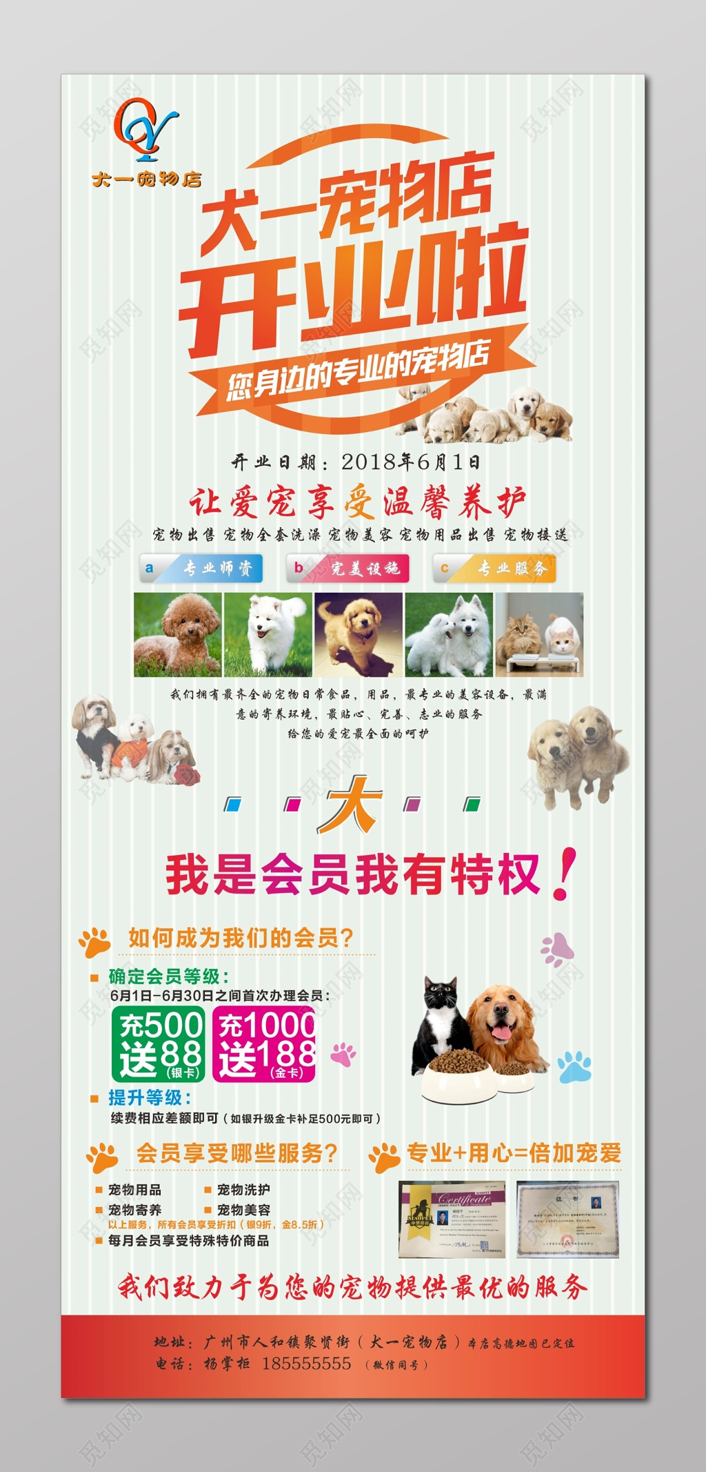 宠物店展架宠物店开业活动海报