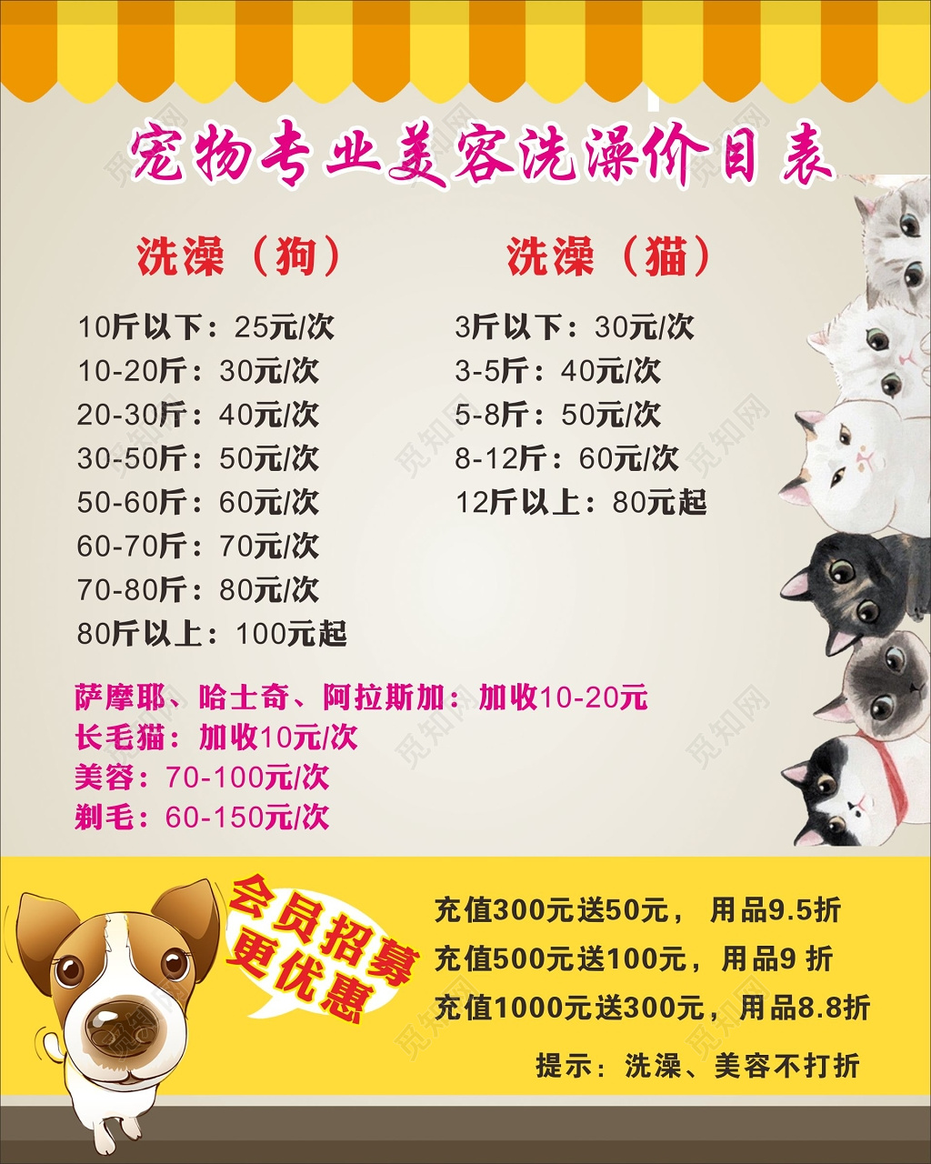 宠物店价目表宠物美容洗澡价目表