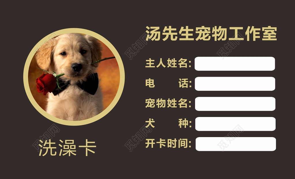 宠物洗澡卡宠物店洗澡卡
