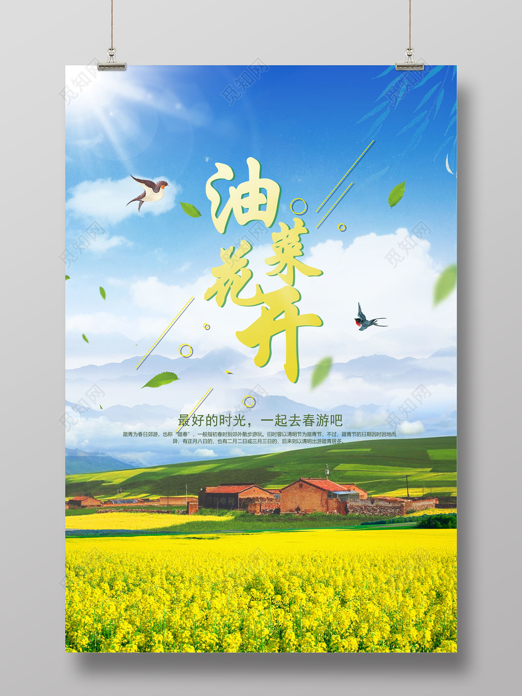 清新大气春天油菜花开花田春游海报