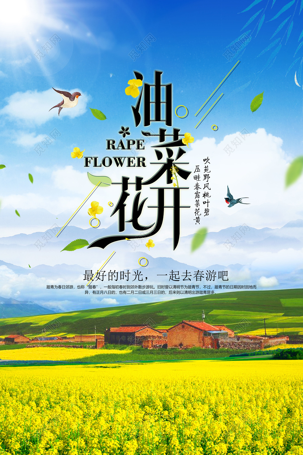 清新大气油菜花田春游宣传海报