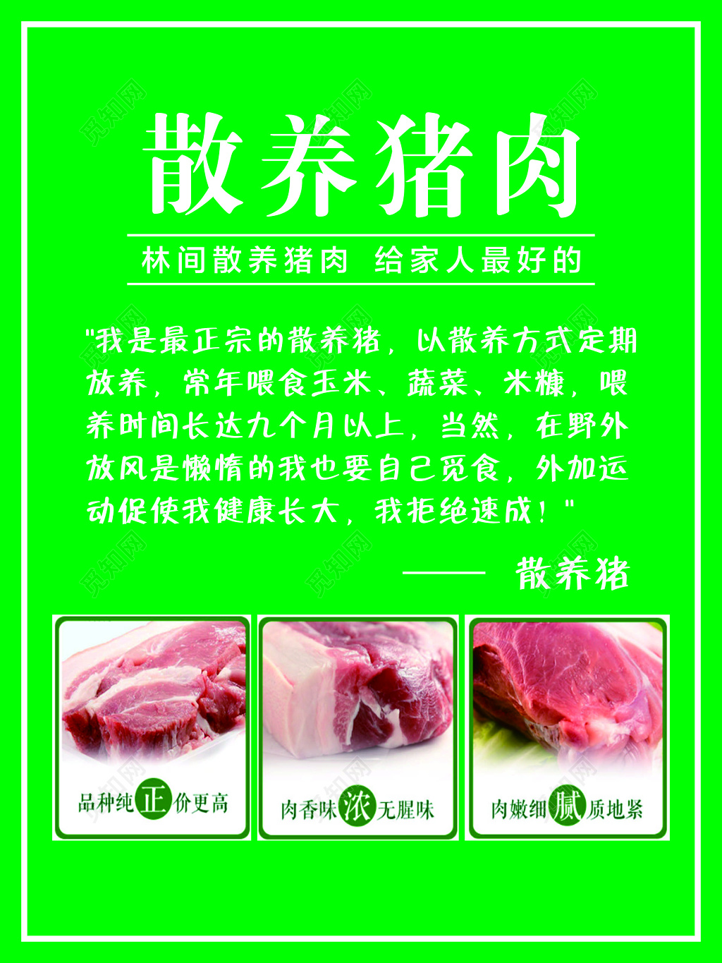 猪肉海报生鲜散养猪肉健康安全绿色营养绿色海报模板