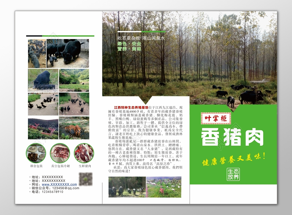 猪肉海报生鲜健康营养美味生态放养即食包装宣传册
