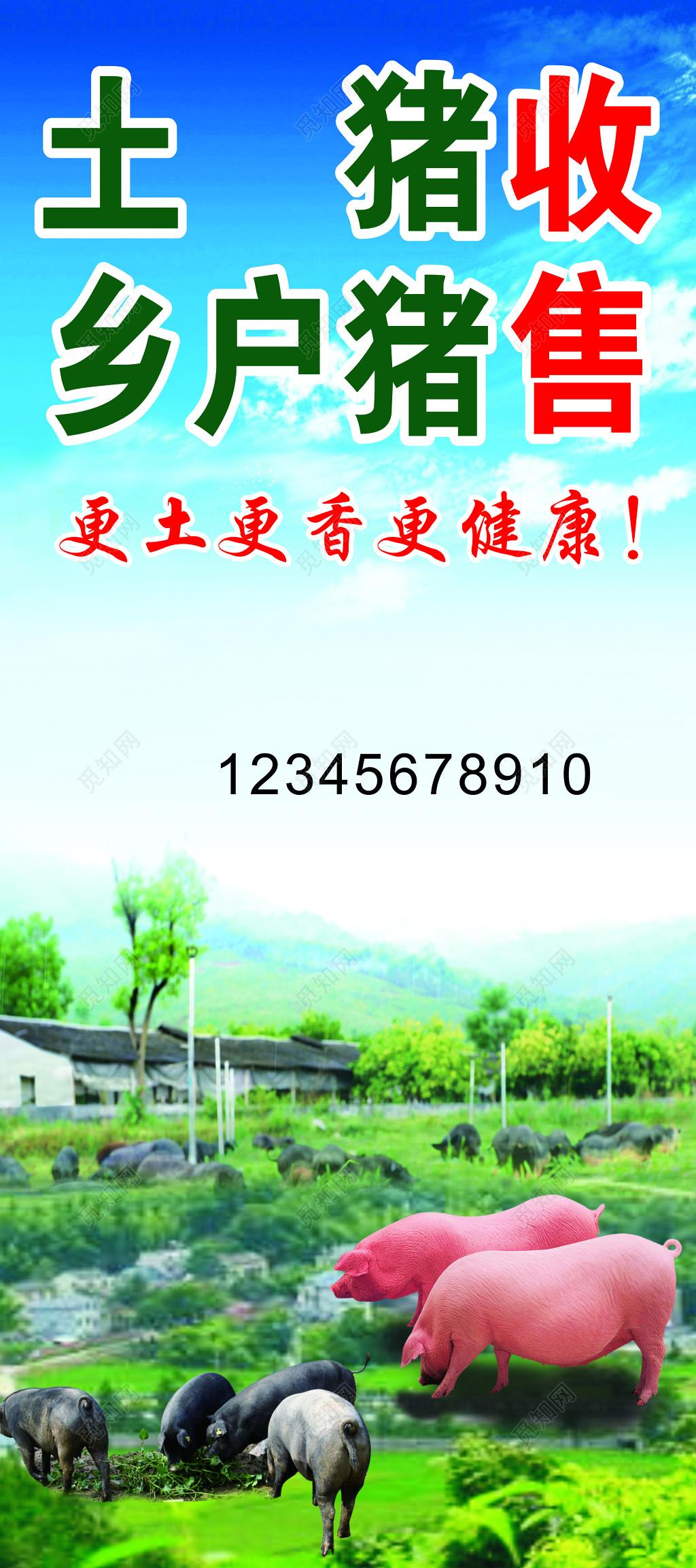 猪肉海报生鲜土猪肉健康安全放心营养绿色海报模板