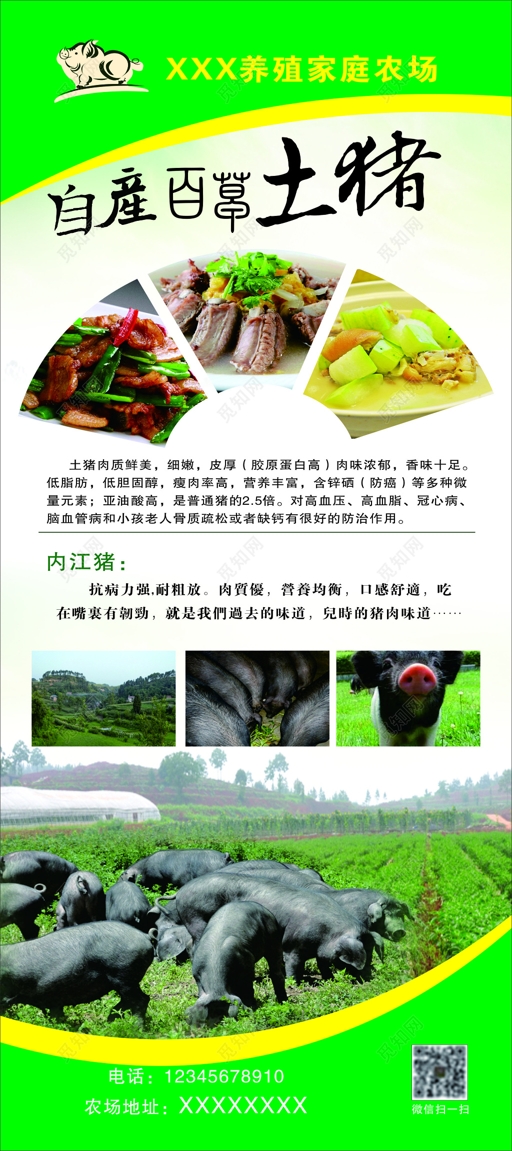 猪肉海报生鲜养殖家庭农场营养均衡口感舒适海报模板