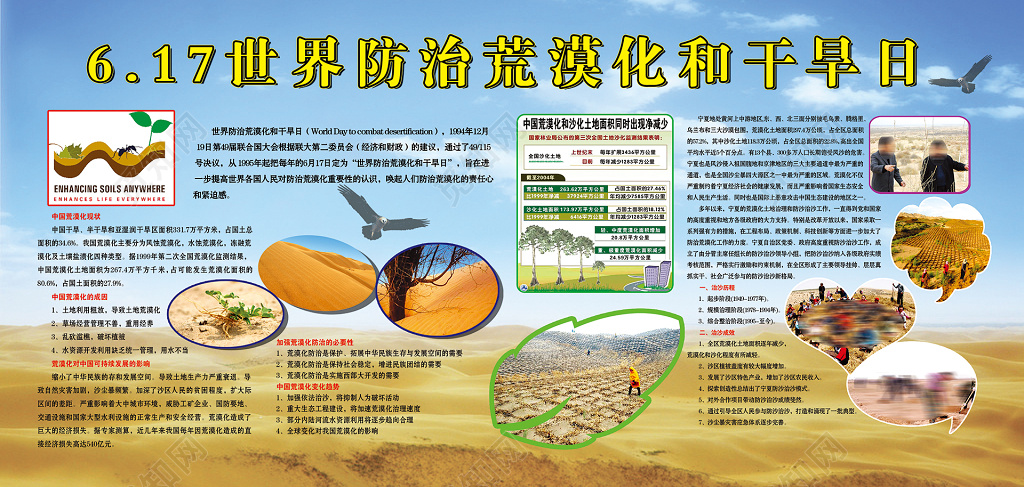 617世界防治荒漠化与干旱日宣传展板设计