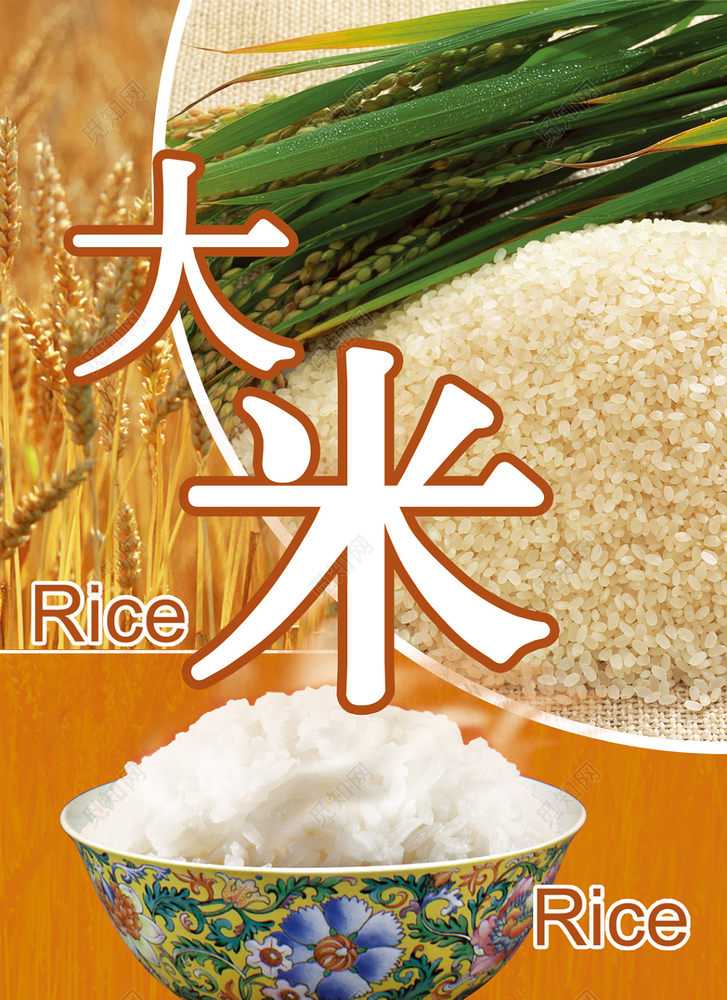 大米鲜大米小麦色海报设计